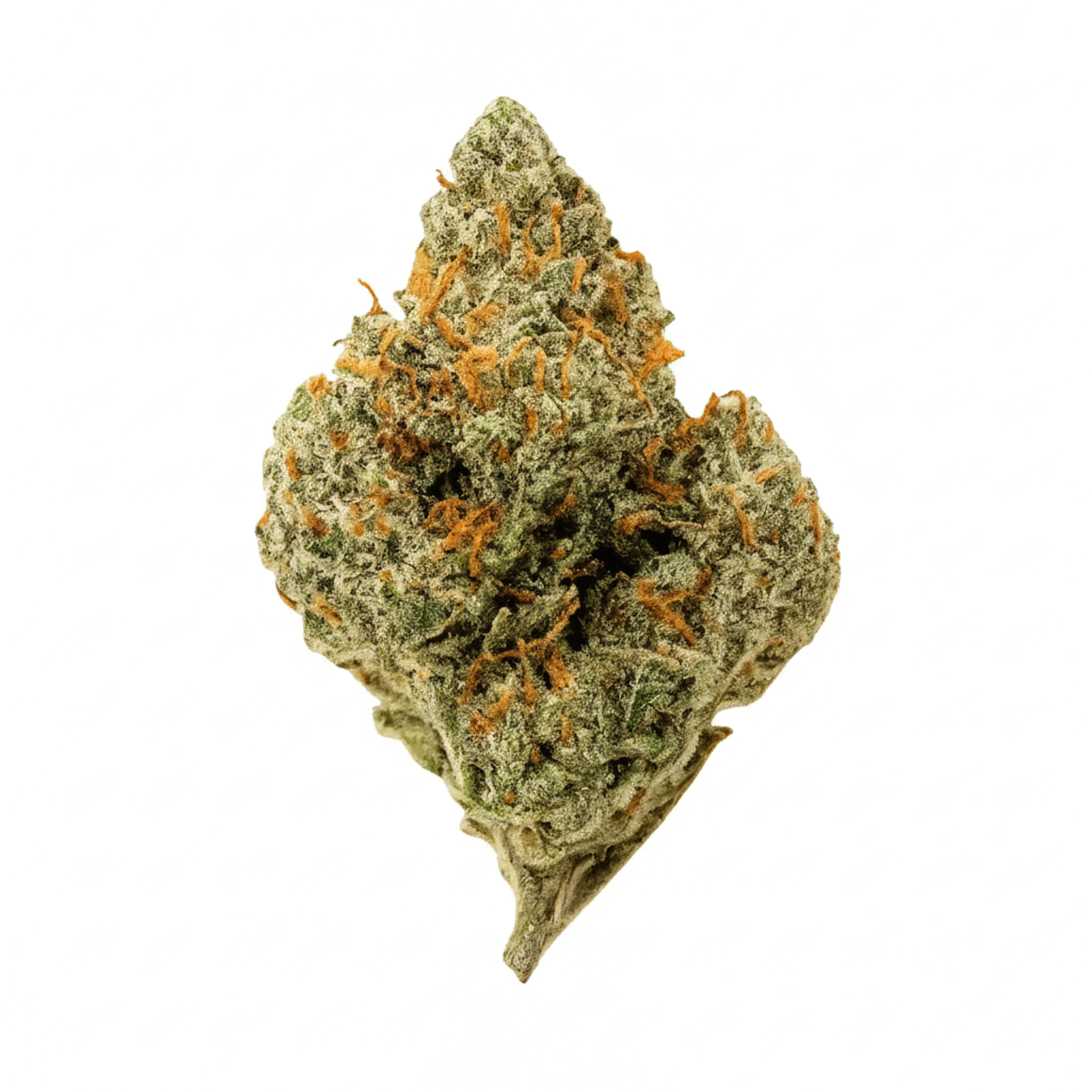 Image of 187 Cannabisflower 24K THC25