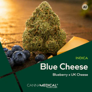 Image of Cannamedical Indica forte DK BC