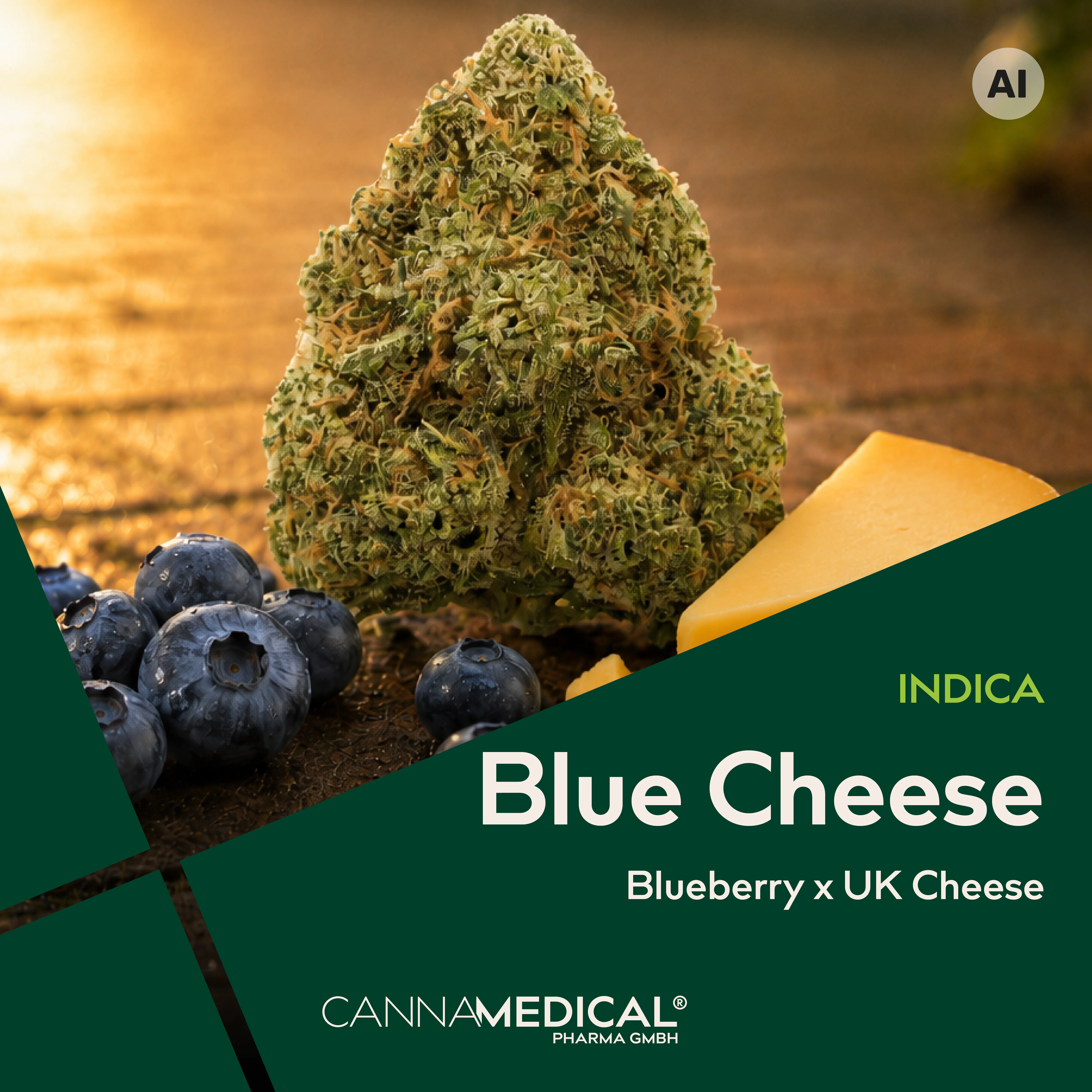 Image of Cannamedical Indica forte DK BC