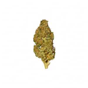 Image of 22/1 NICE BZO