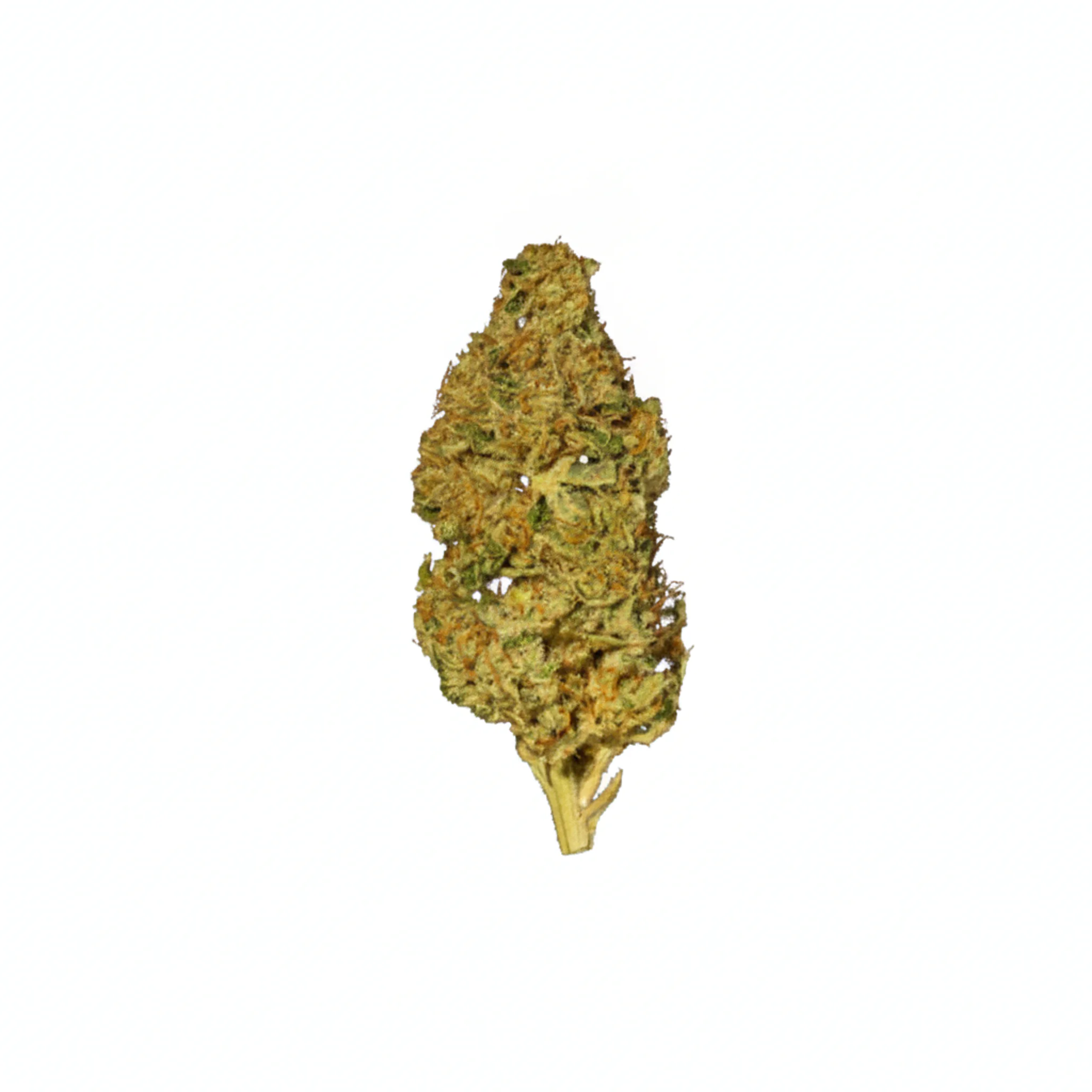 Image of 22/1 NICE BZO