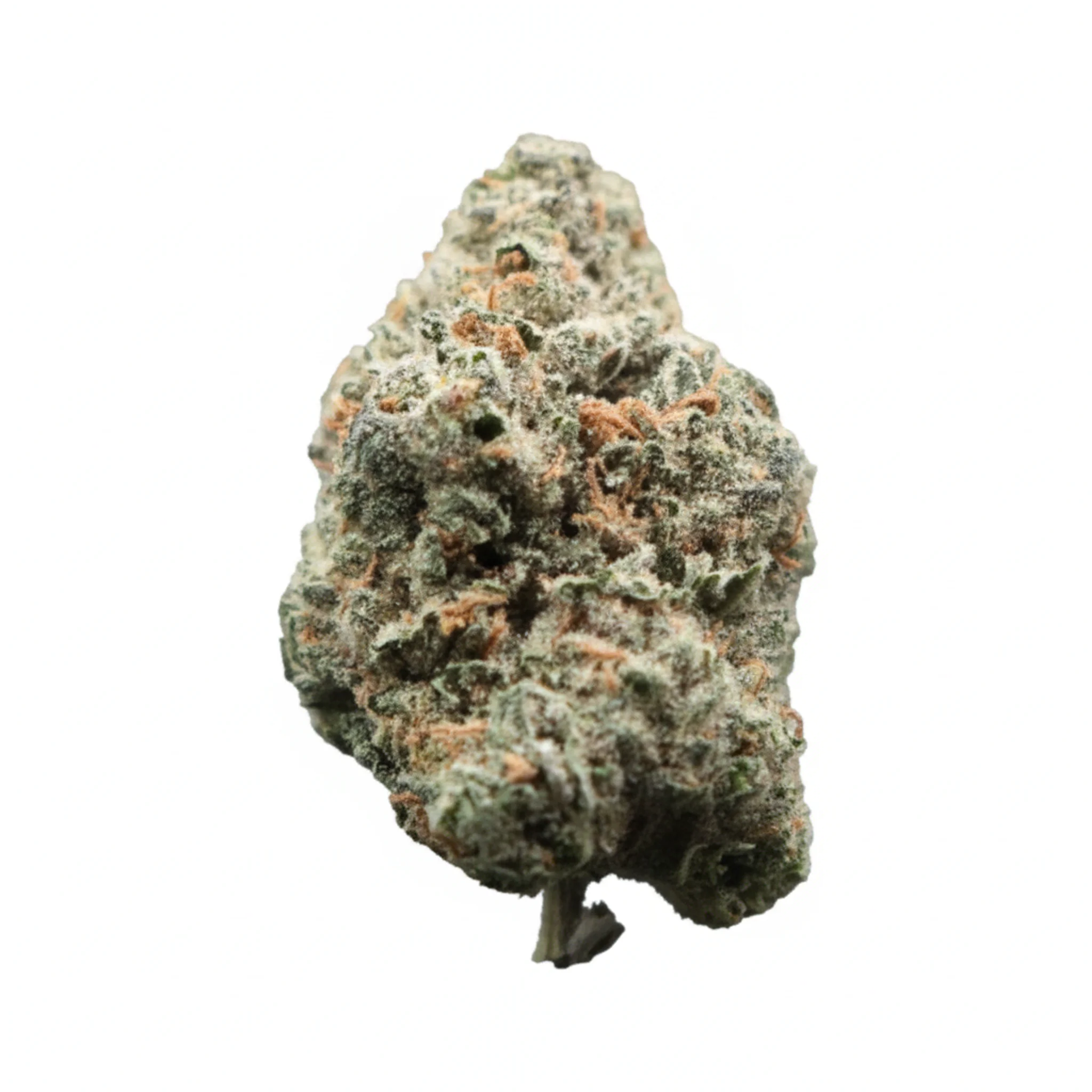 Image of 26/1 NICE M