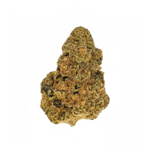 Image of 27/1 SHÜSH SLO