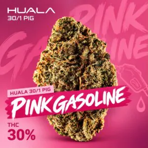 Image of Huala 30/1 UK PIG
