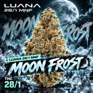 Image of Luana 28/1 MNF