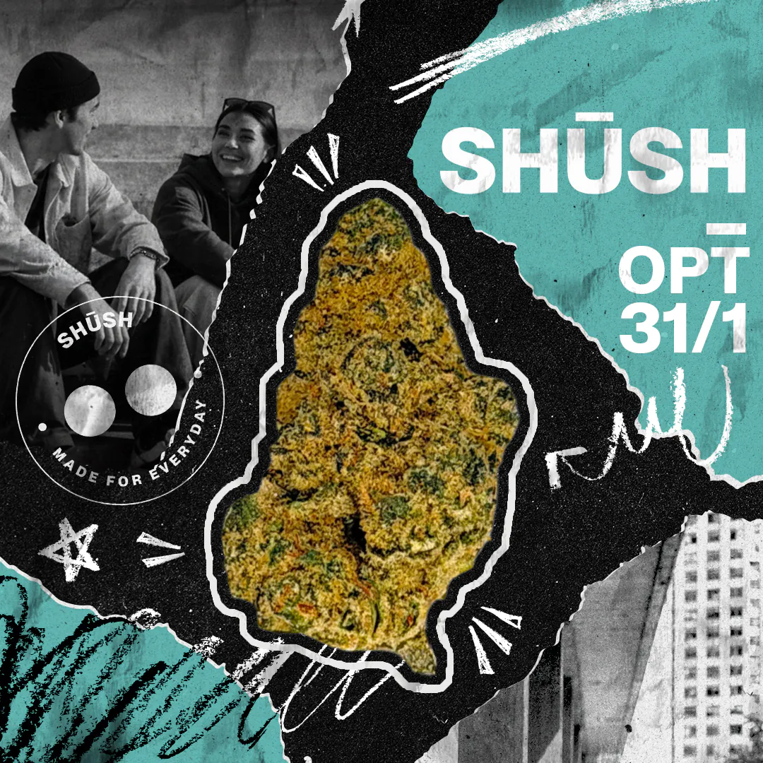 Image of 31/1 SHÜSH OPT