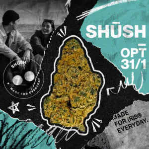 Image of 31/1 SHÜSH OPT
