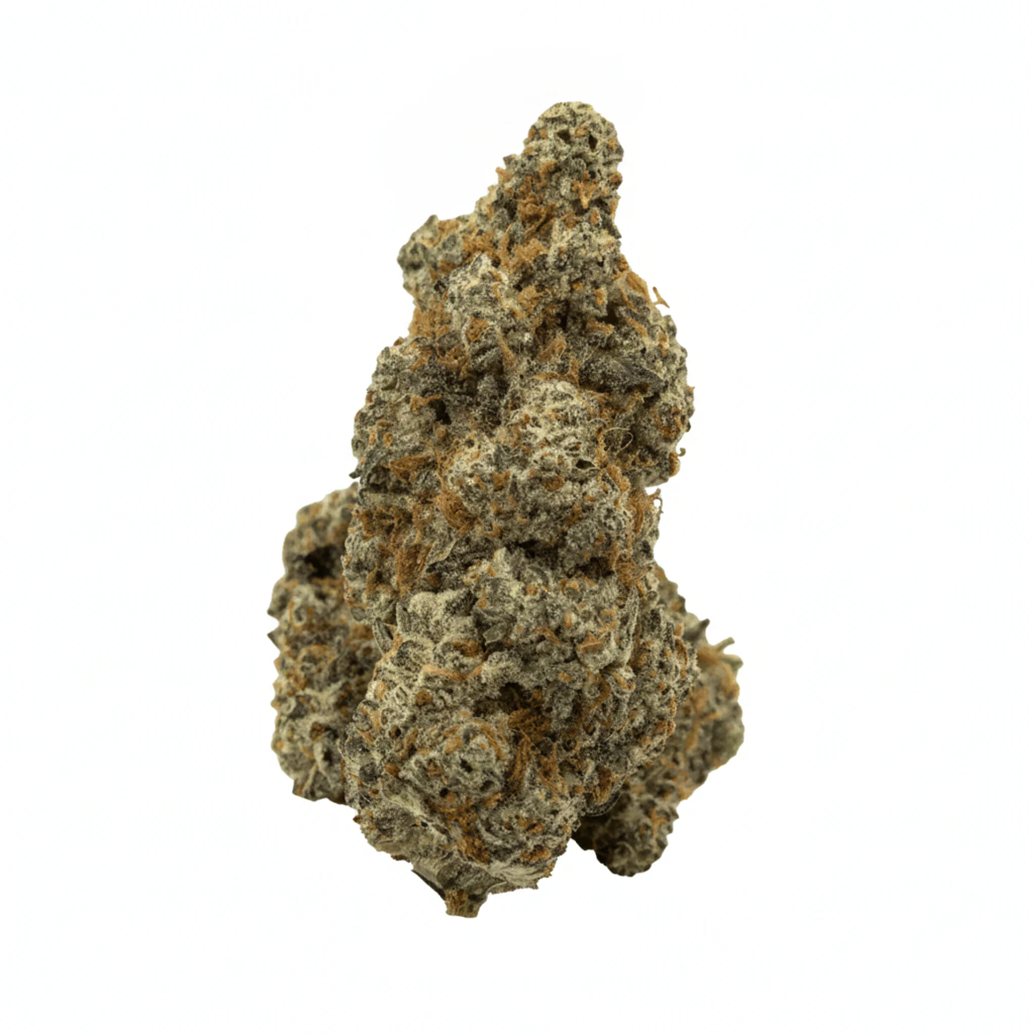 AMP KHI GR THC24 Grape Dank Produktfoto