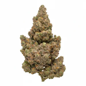 Image of AMP KHI RG THC24