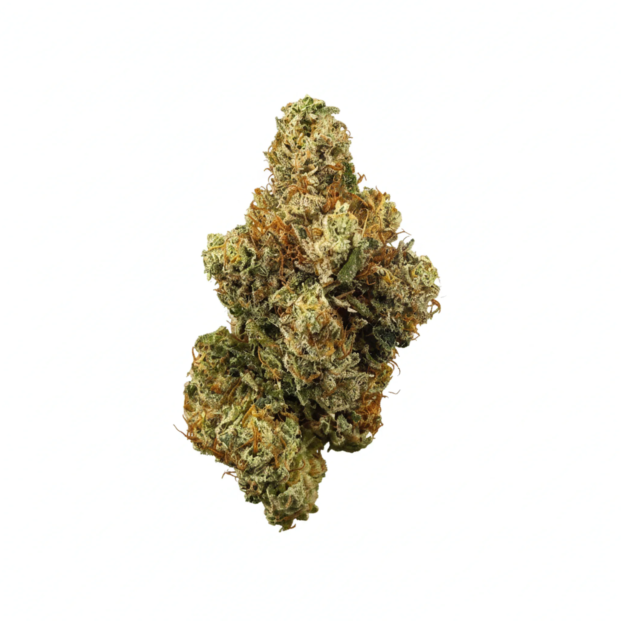 Image of Bathera 28/1 GZ
