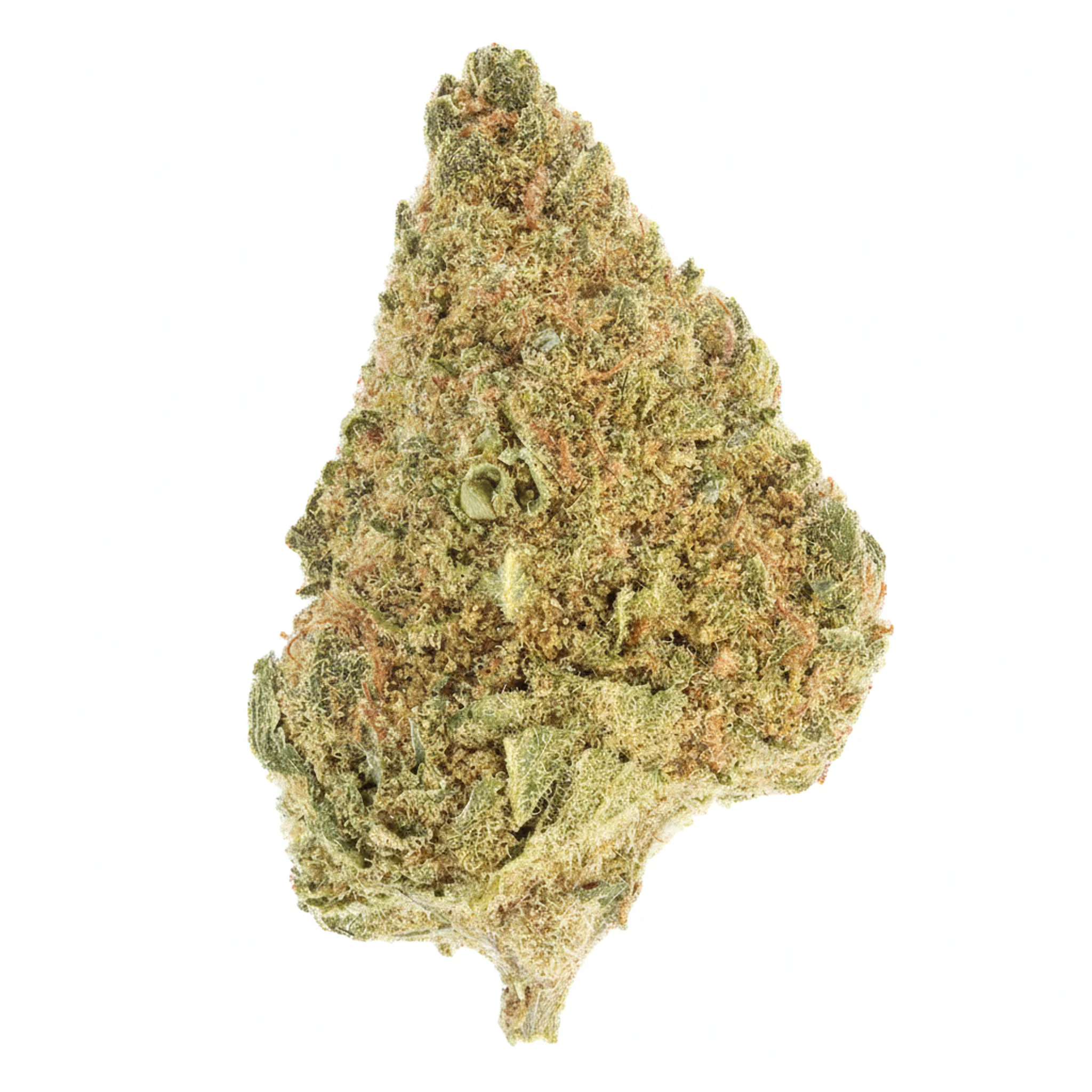 Image of Cannabis flos 18/1 LS Ku. Exodus Cheese DP