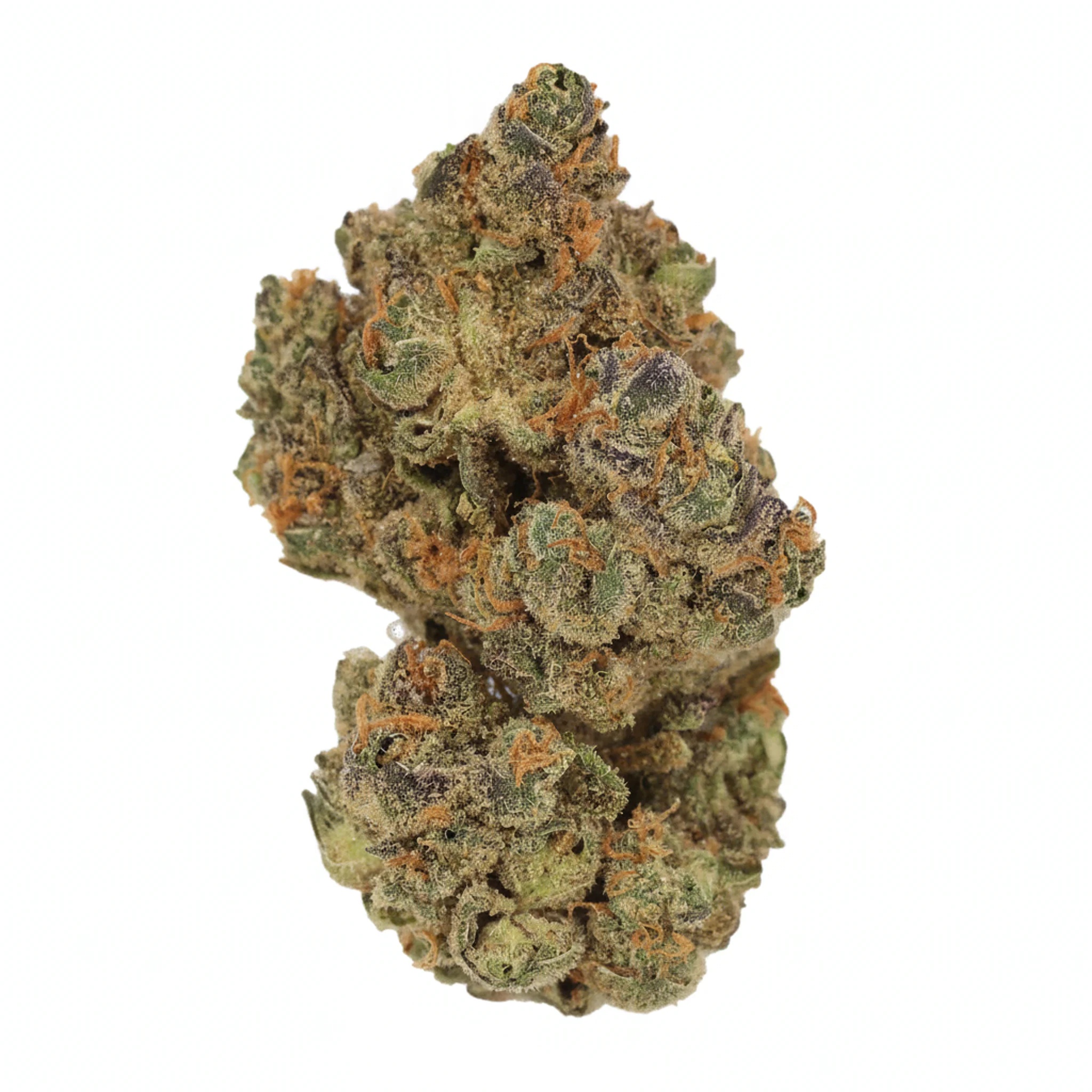 Image of Cannamedical Hybrid Forte BC GT