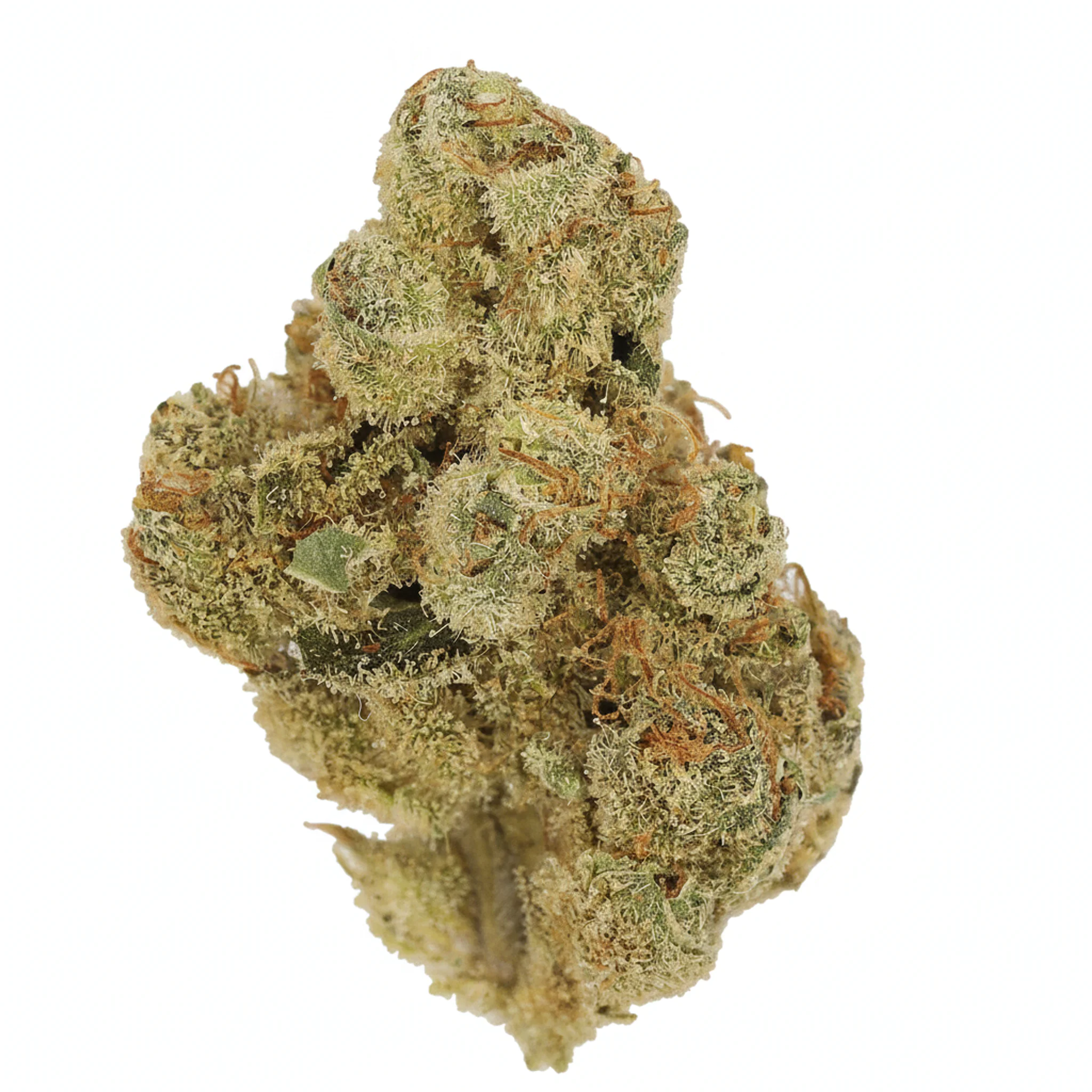 Image of Cannamedical Indica Forte BC TB