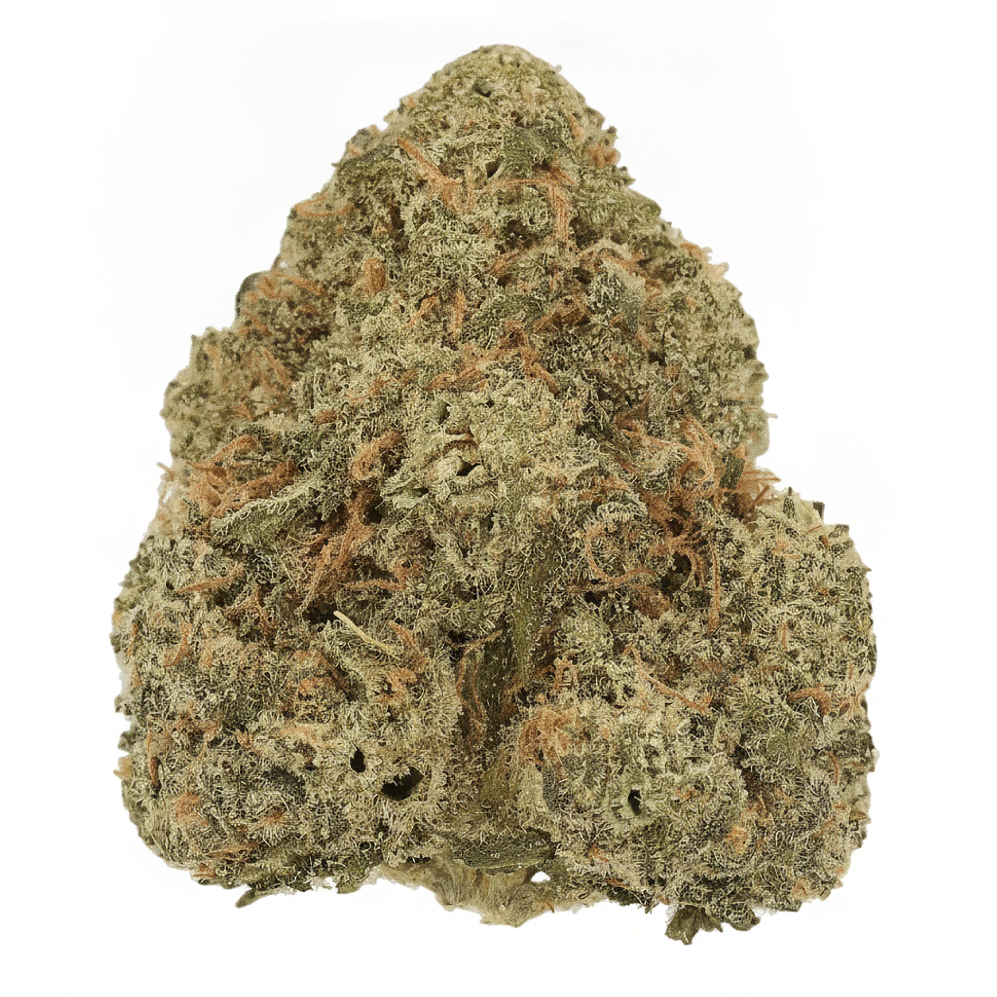 Image of Cannamedical Indica forte DK BC