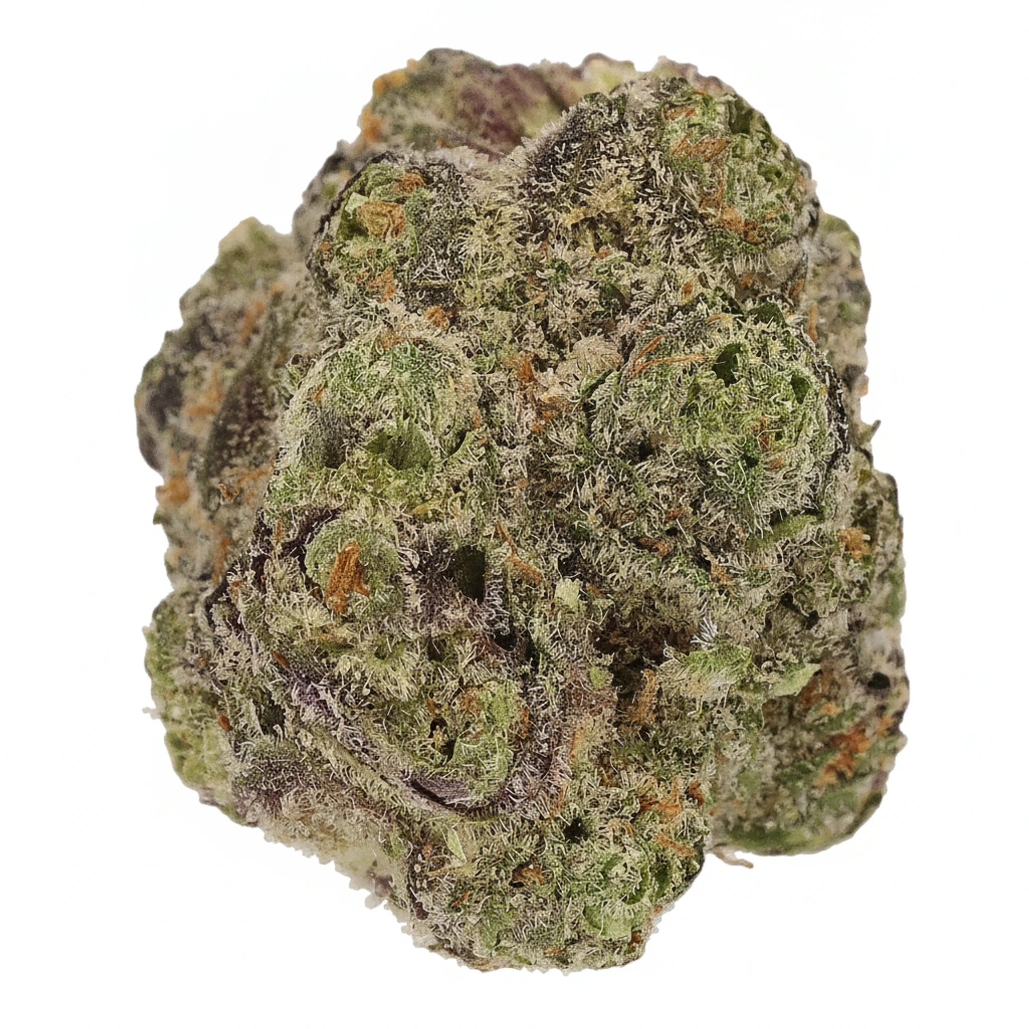 Image of Cannamedical Indica Forte SF