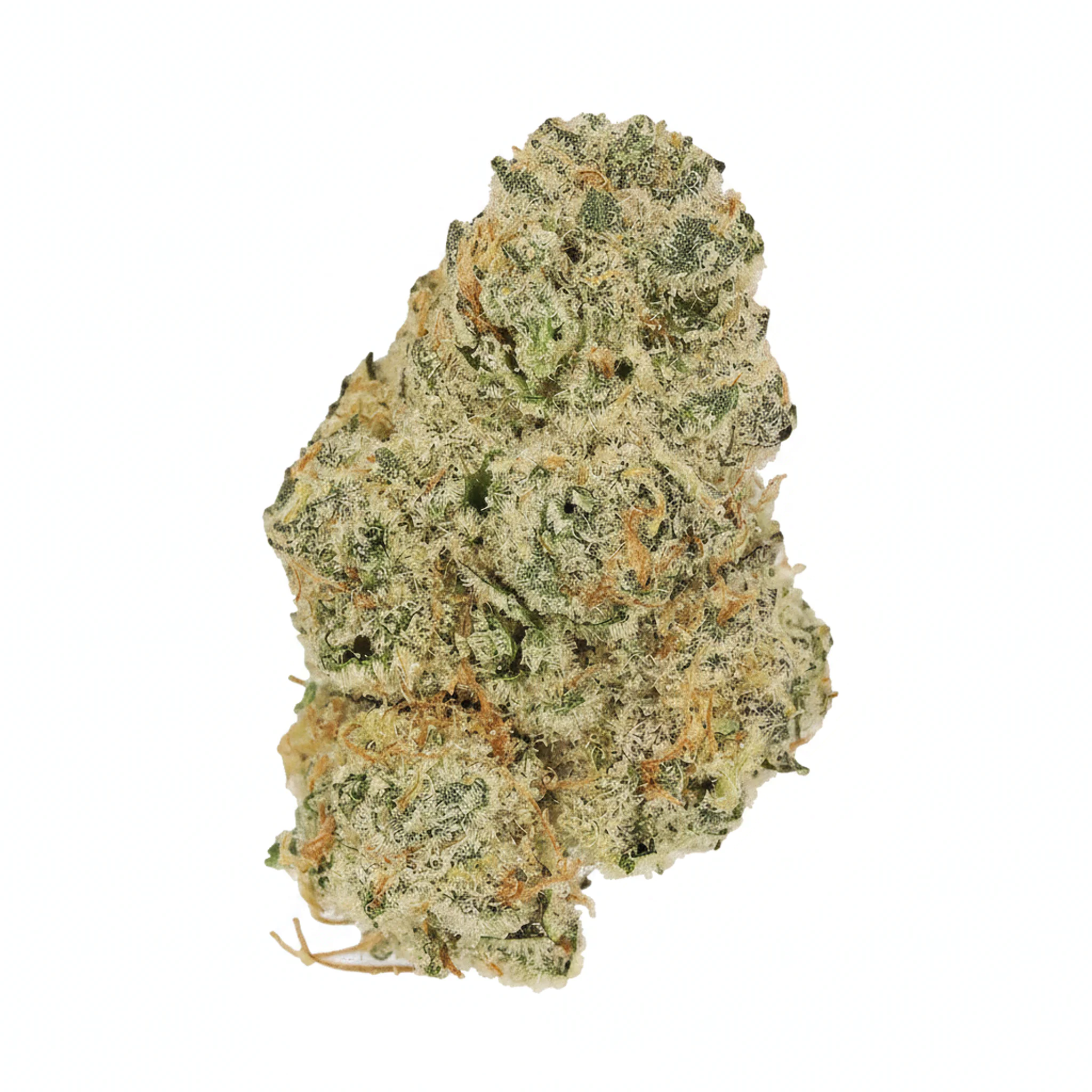 Image of Cannamedical Sativa Ultimate NM