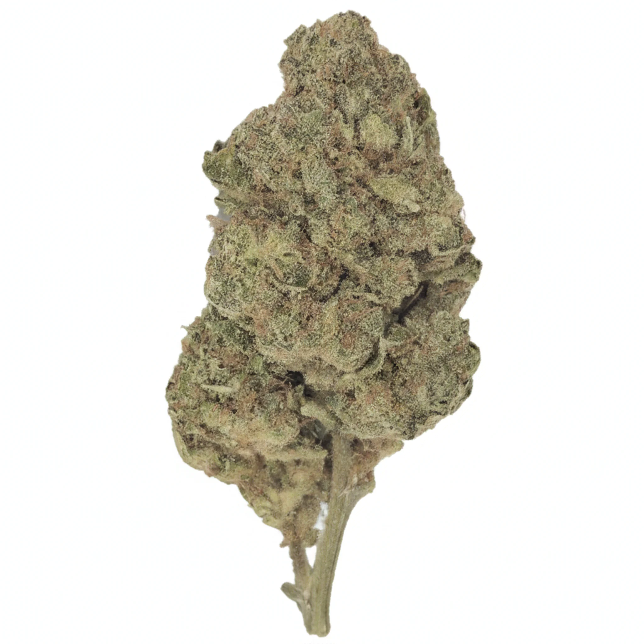 Image of Edelweiss Zkittlez PCG | TBF 20/1