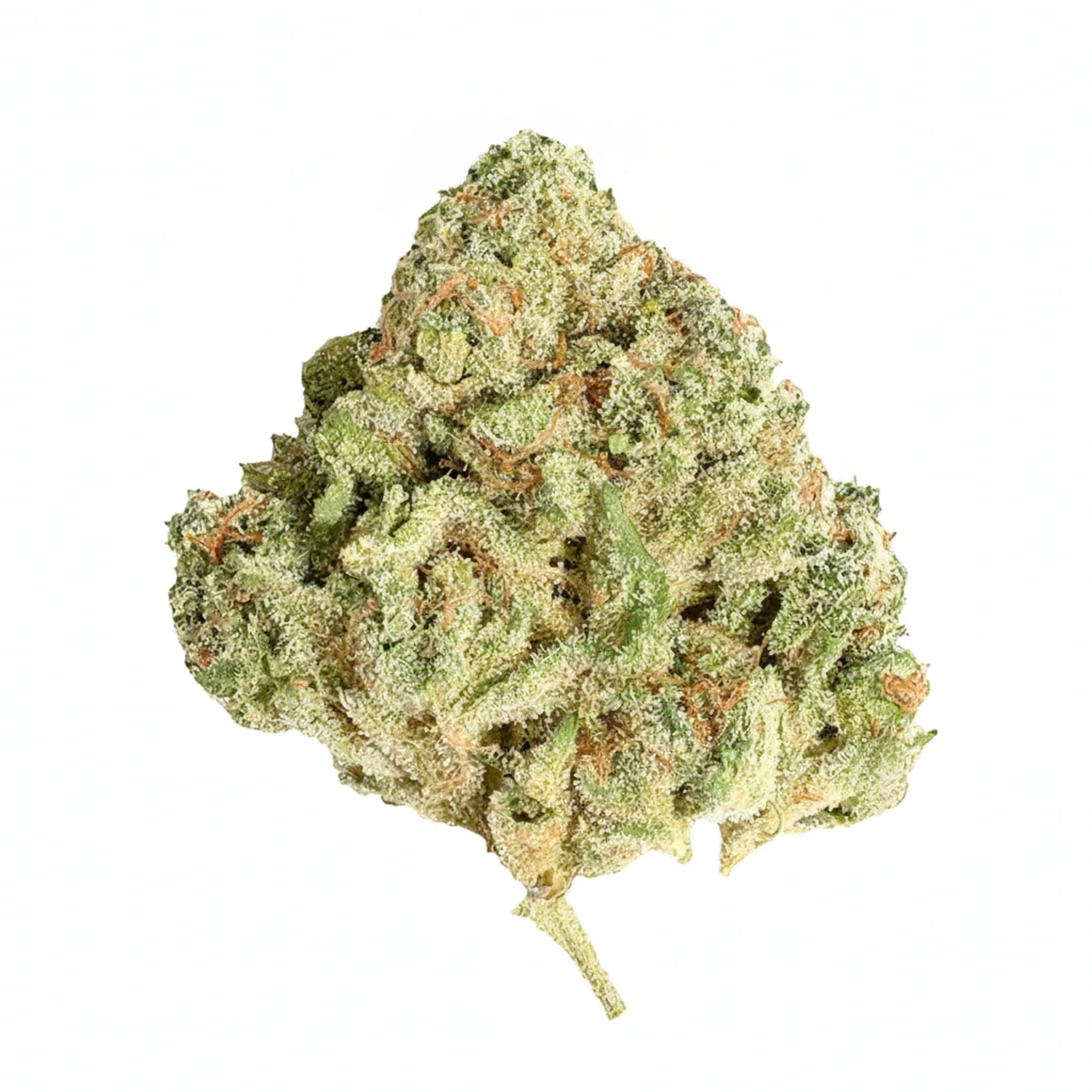 Image of Eufloria 33/1 RCC