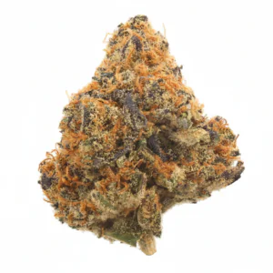 Image of gramz. 003 GLND 27/1