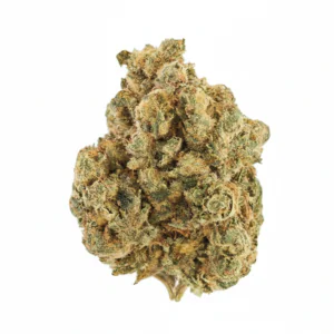Image of Green Joy LBB 30/1