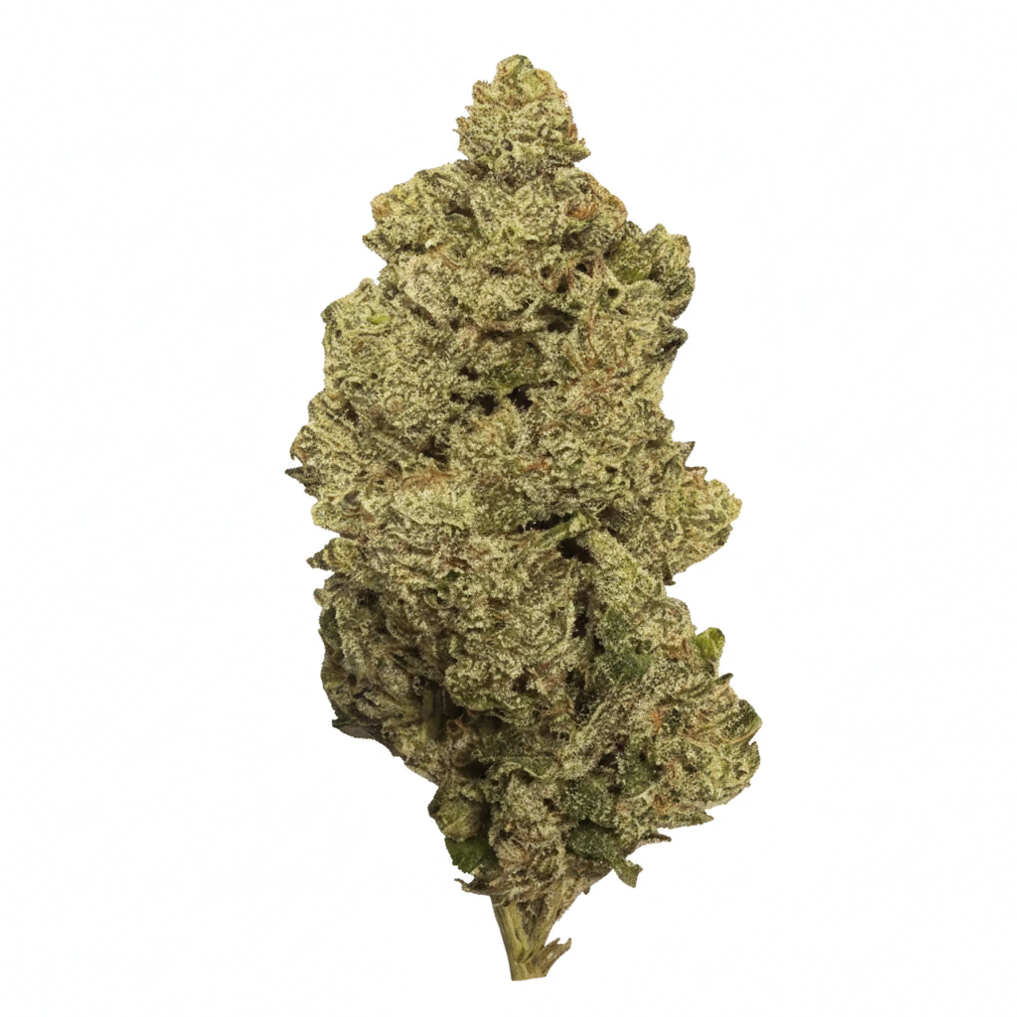 Image of High Quadz FV 31/1