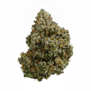 Image of Island Genetics LMHD 27/1