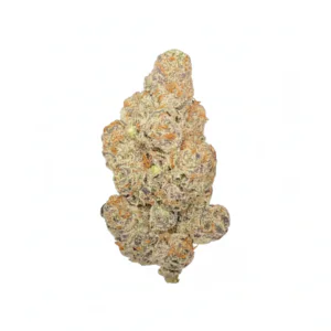 Image of LIGHV Trials 26/1 BBL