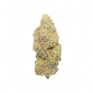 Image of LIGHV Trials 32/1 GR