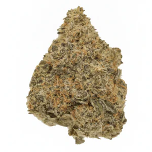 Image of Luana 24/1 AMZ
