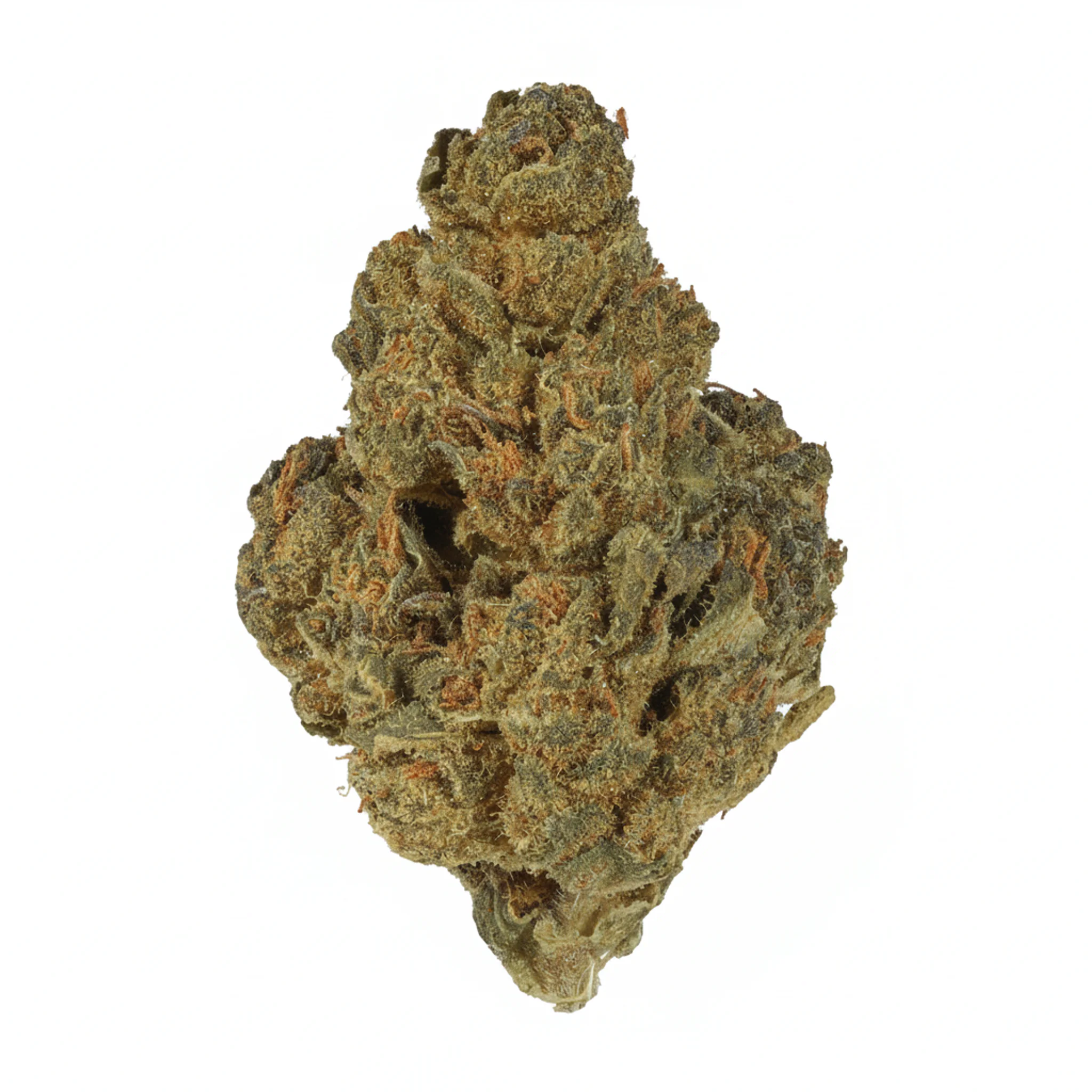 Canthera Budget 21/1 BBA Bruce Banner Produktfoto