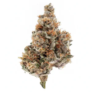 Image of MH MEDPLANT Wedding Cake 15/1