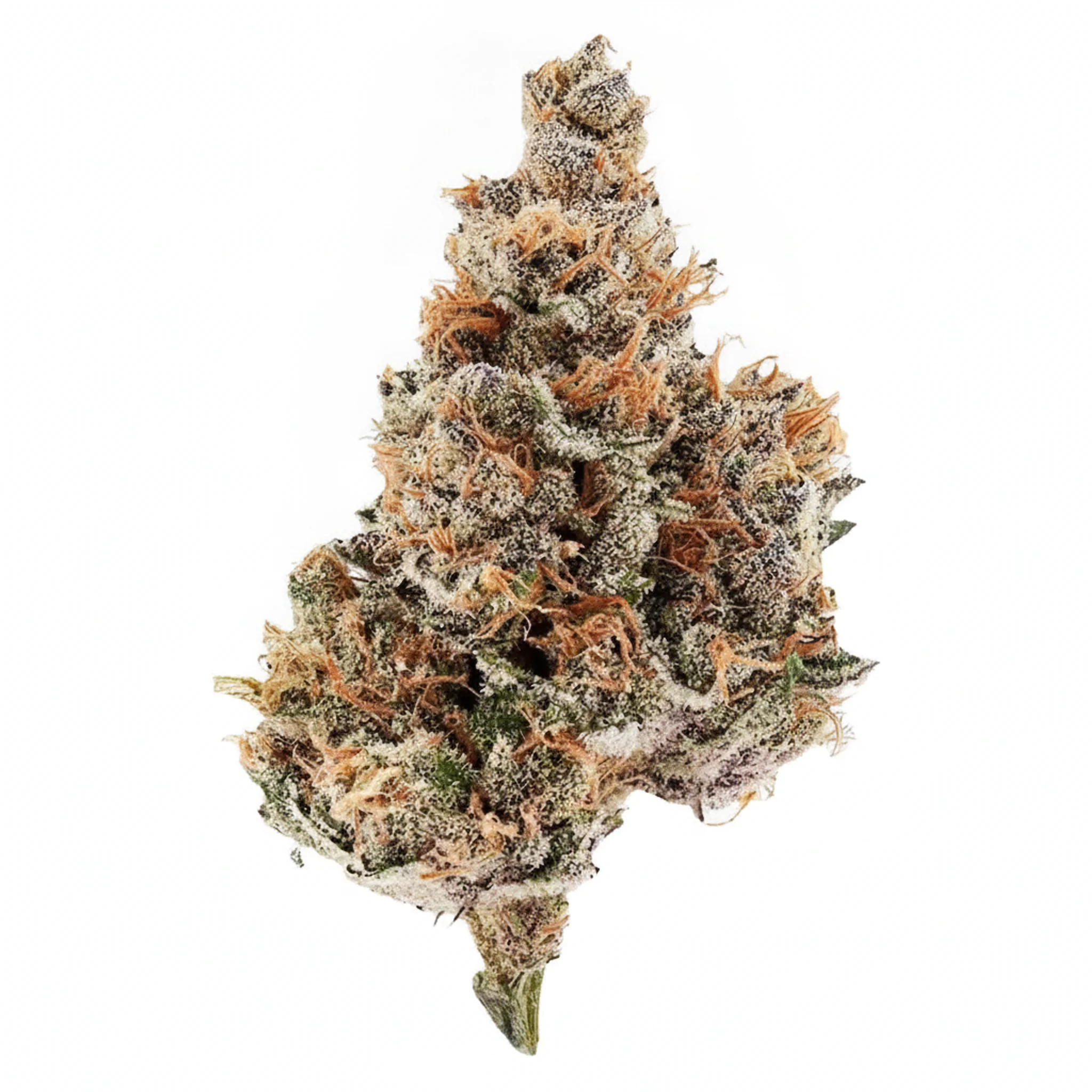 Image of MH MEDPLANT Wedding Cake 15/1