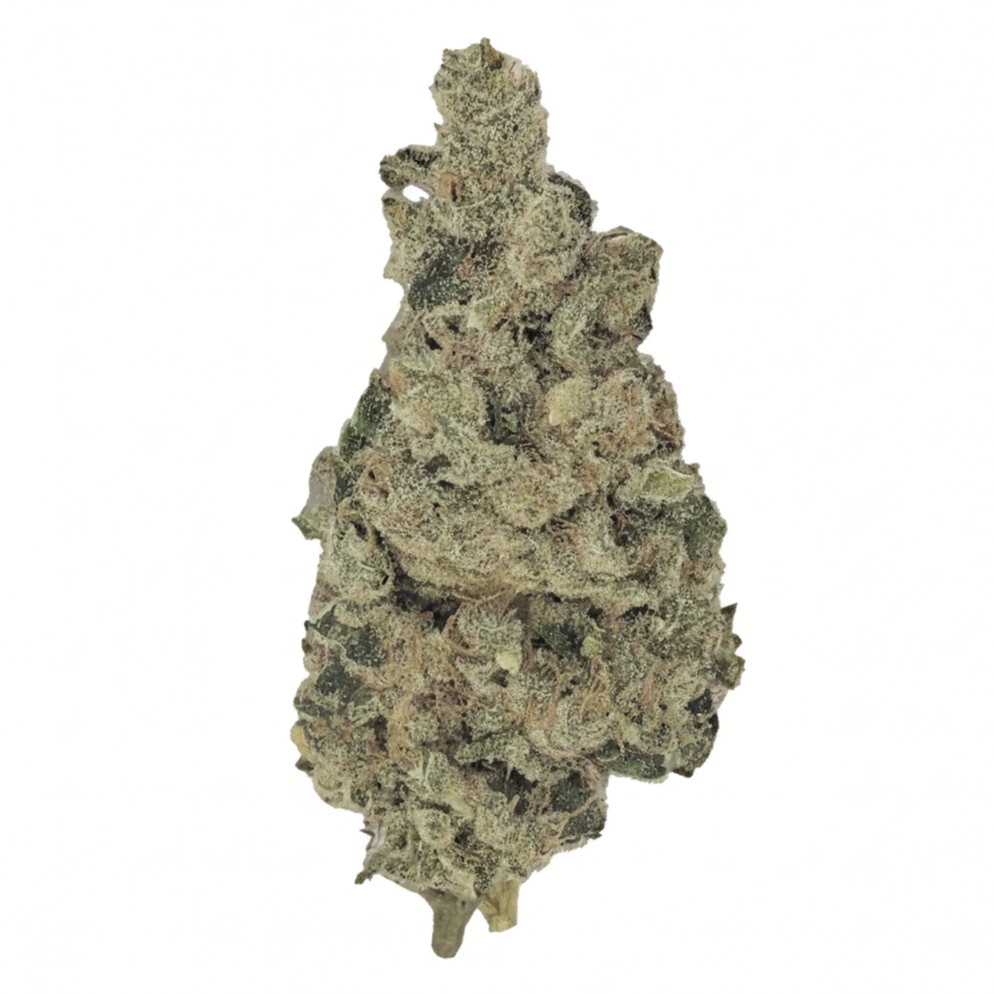Image of Mountain Crusher | TBF 26/1