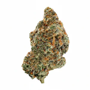 Image of Oya BPV 30/1