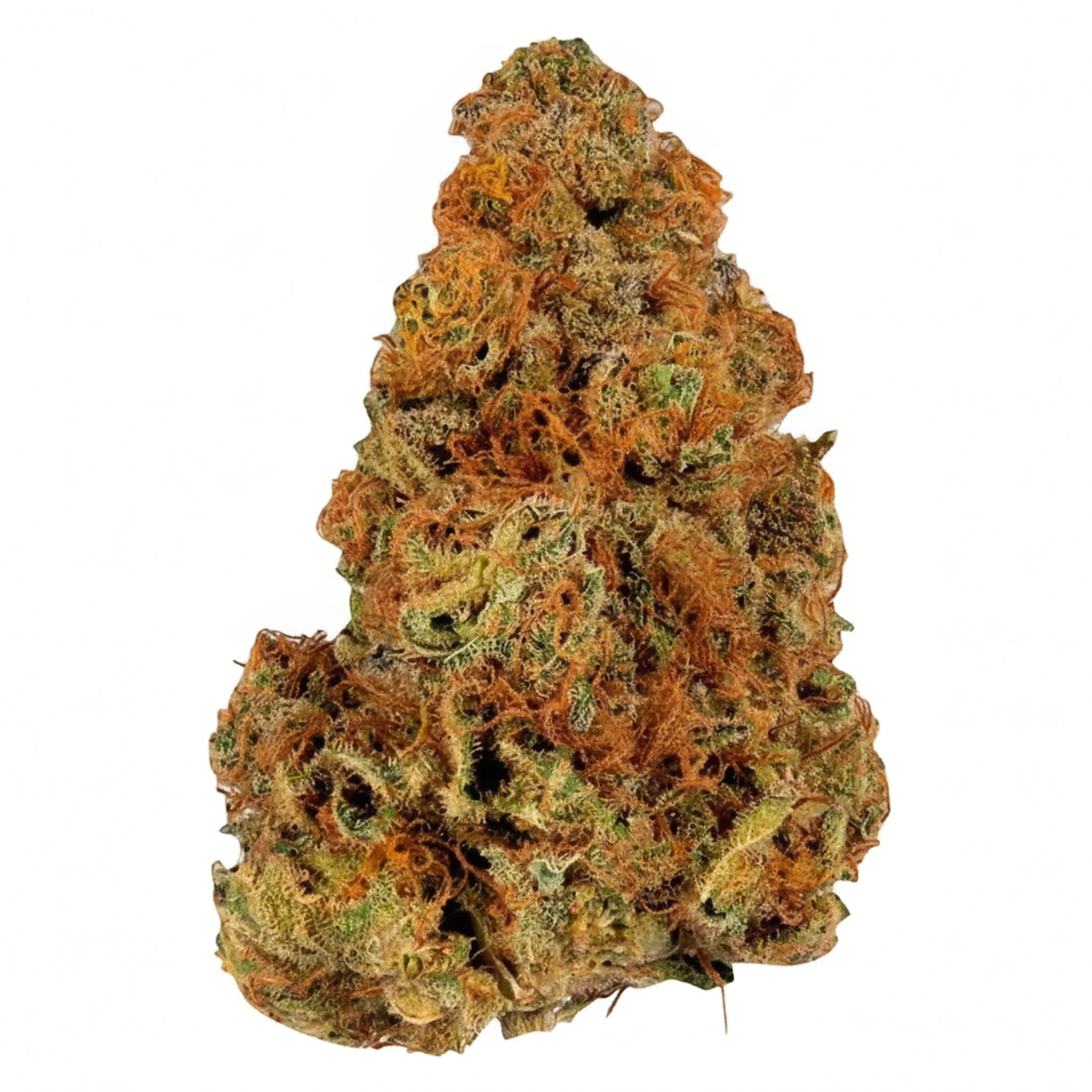 Image of Sinceritas Sativa Auris 27/1 Cosmic MAC