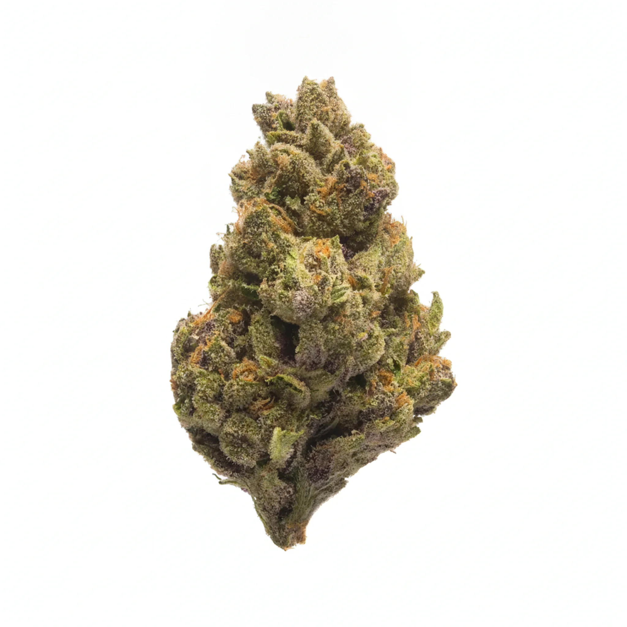 Image of Suprobion PC 18/1 Purple Cookie
