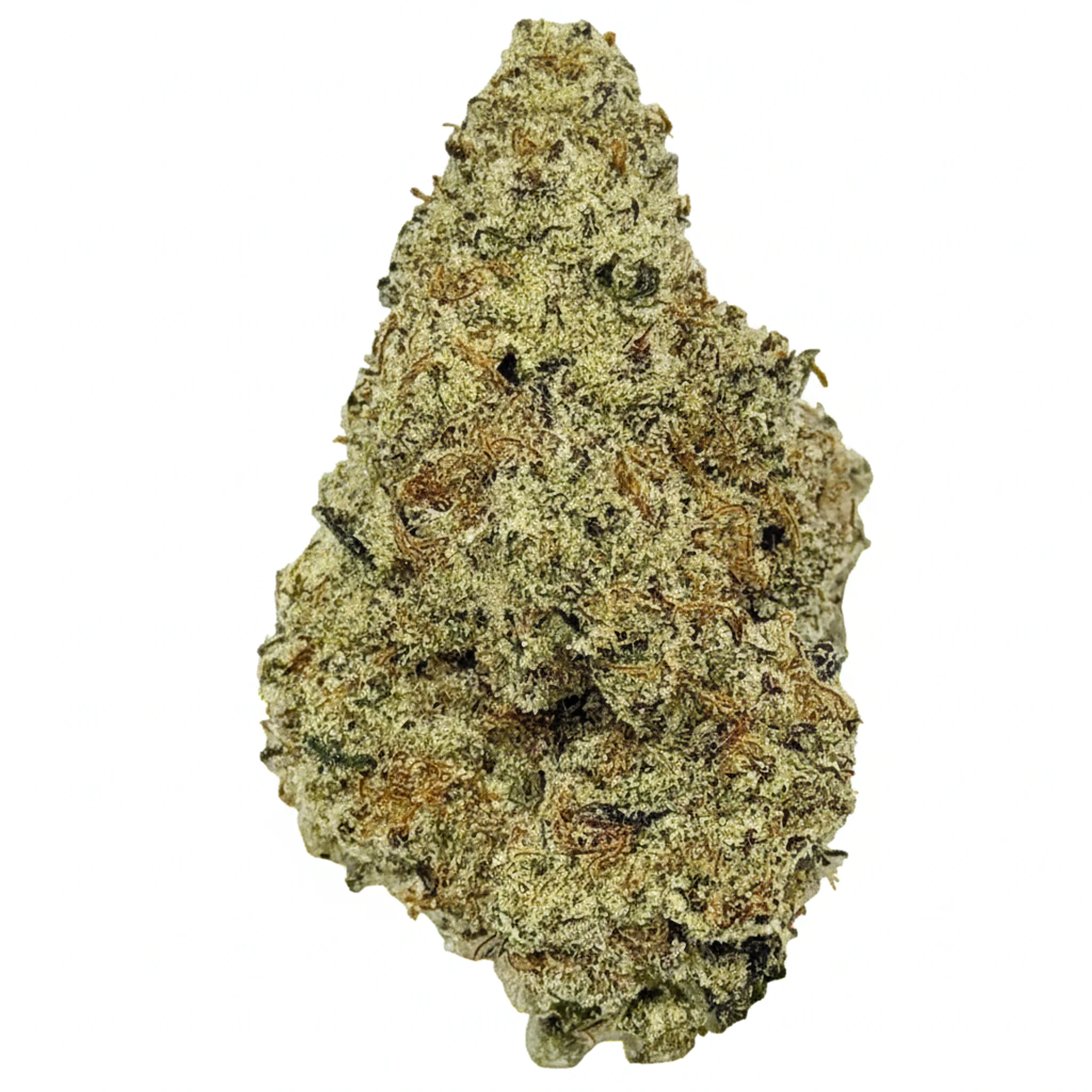 Image of TM-THAISMILE-26