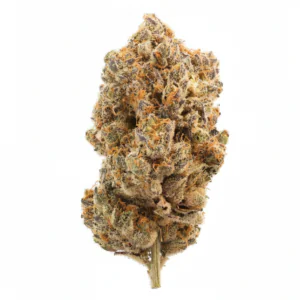 Image of TREATZ LC 30/1