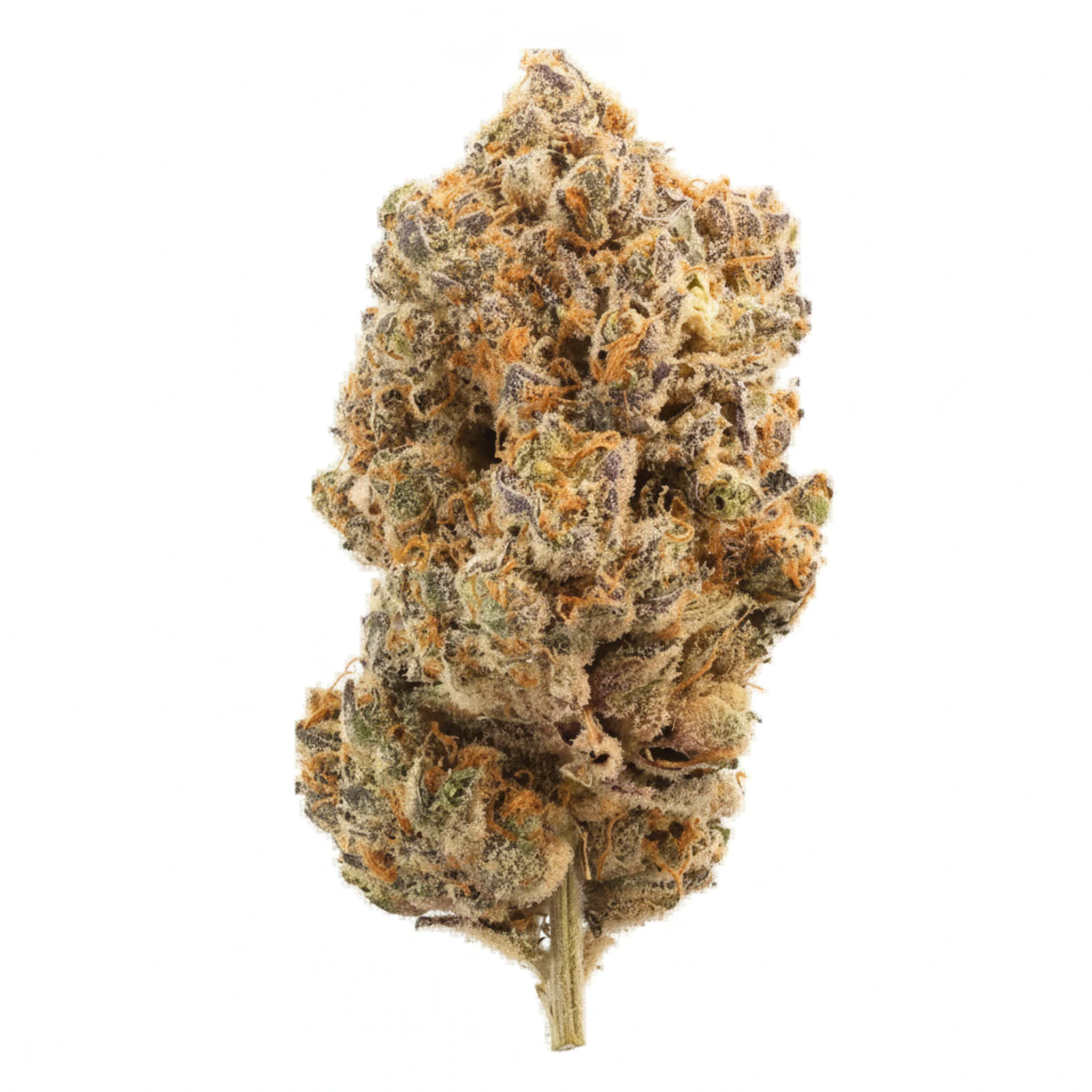 Image of TREATZ LC 30/1