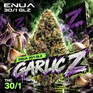 Image of enua 30/1 GLZ CA