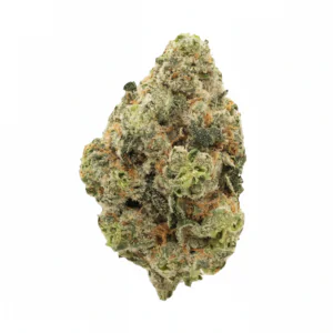 Image of 420 Evolution 30/1 CA TFK