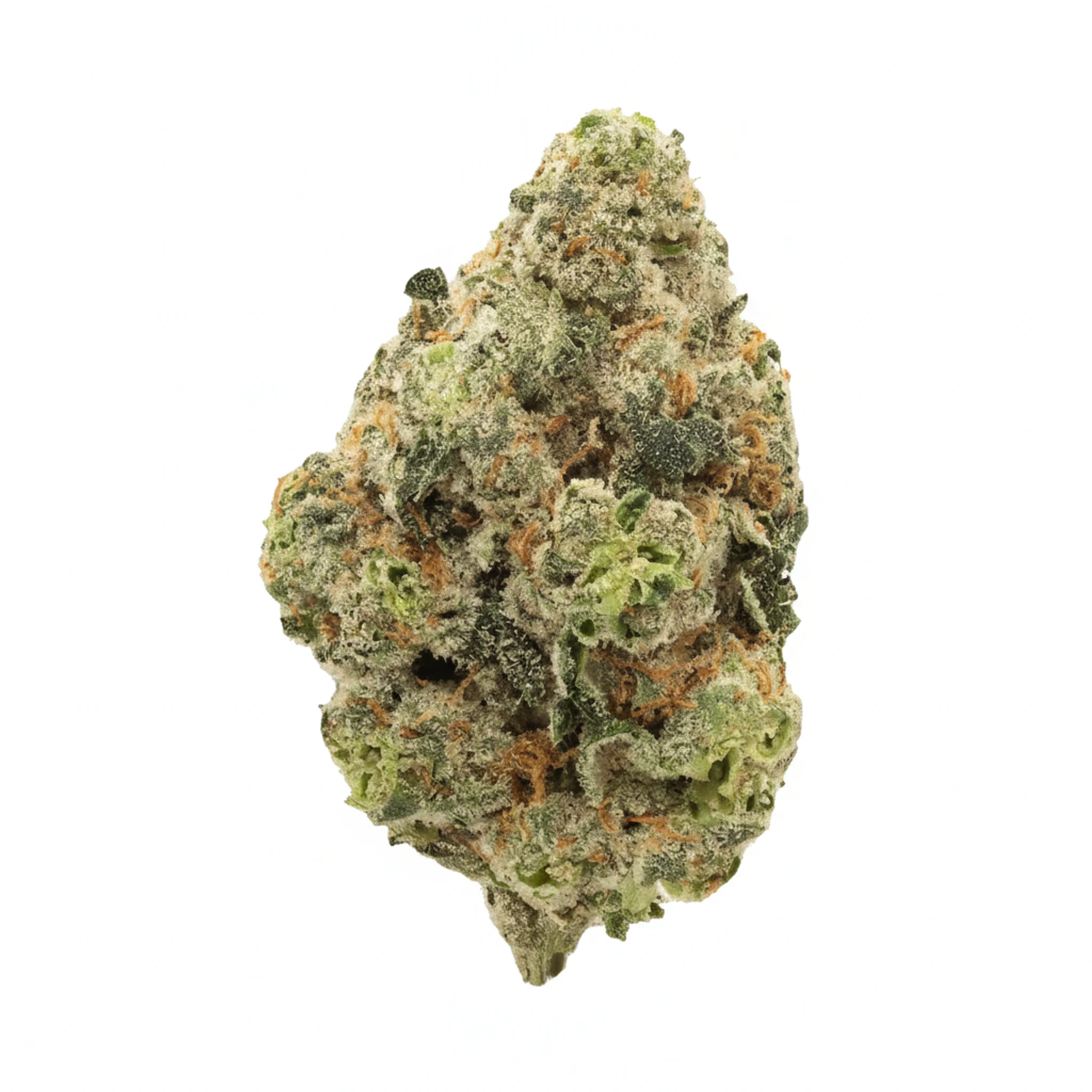 Image of 420 Evolution 30/1 CA TFK