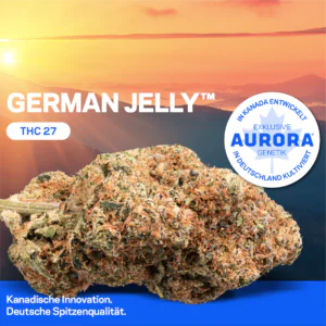 Image of AURORA 27/1 GLY-DE