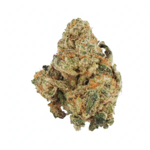Image of Blayz 28/1 HM