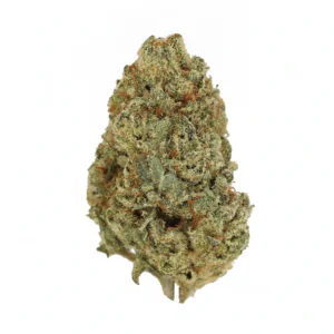 Image of Budza 28/1 RST