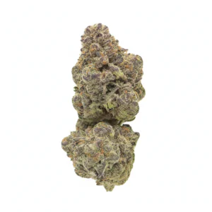Image of CAN BM 30/1 HB