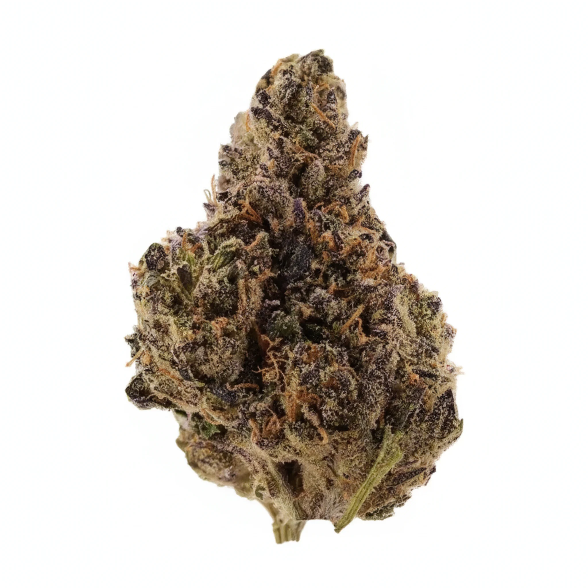 Image of Cannabis flos 25/1 CPL Ku. Gary Payton