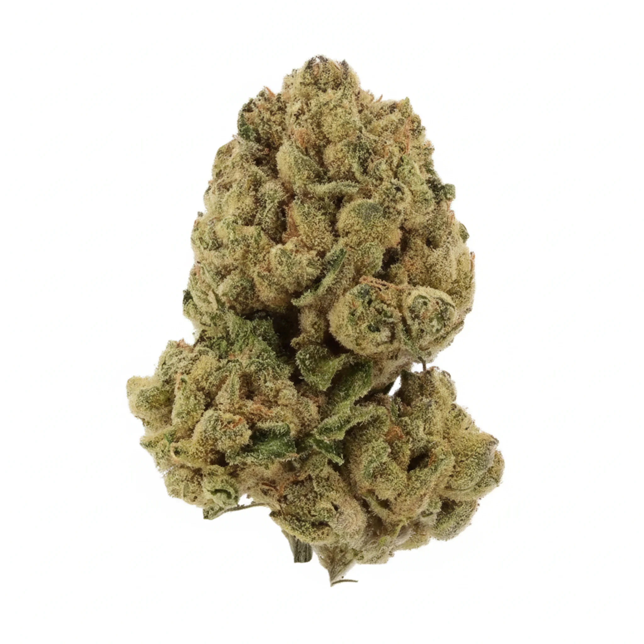 Image of Cannabis flos 25/1 LS Ku. OG Kush