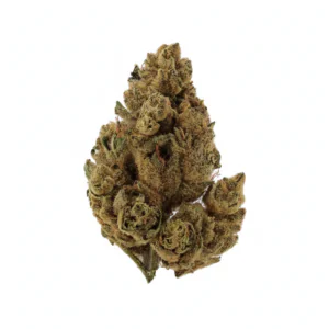 Image of Cannabis flos 27/1 LS Ku. Oreo Mint Kush