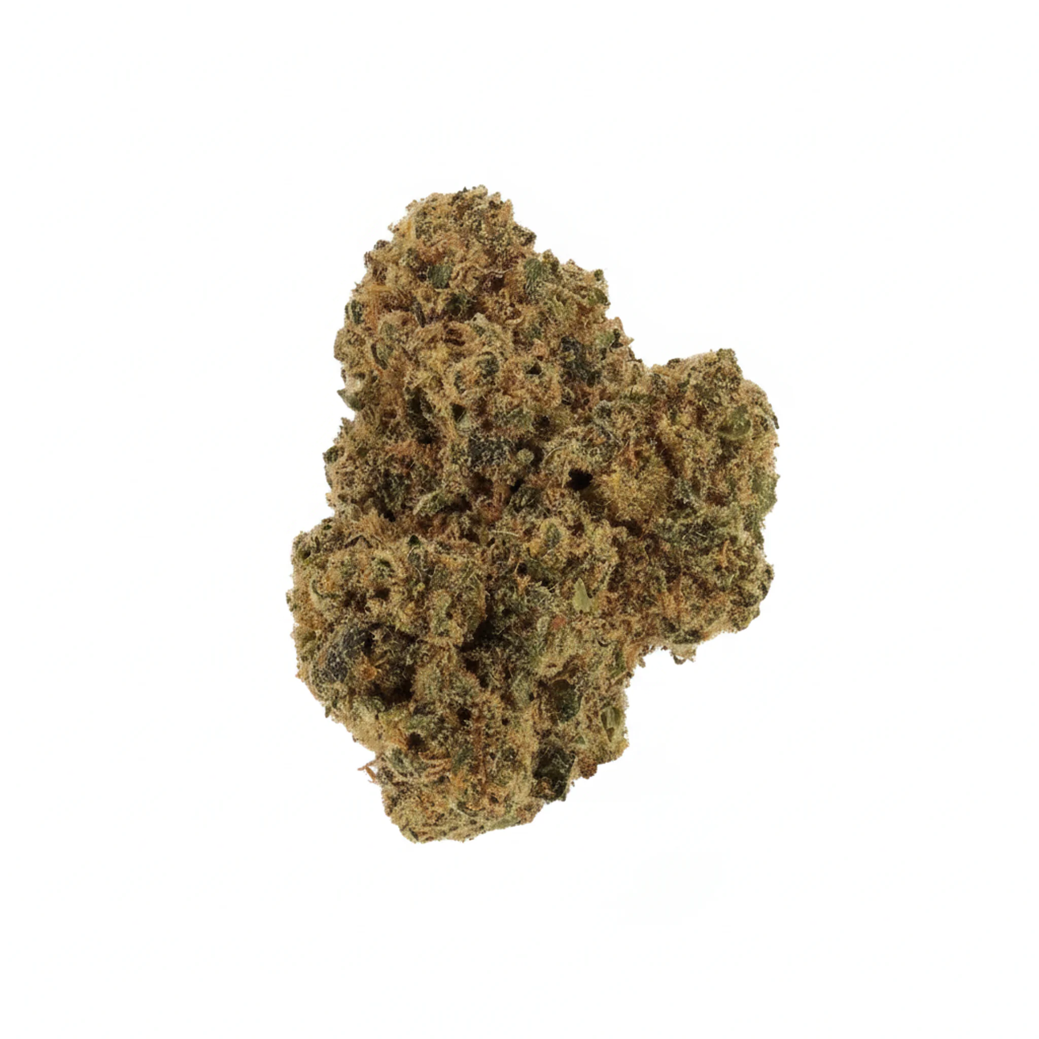 Image of Cannabis flos 31/1 COR Ku. Tangerine Slush